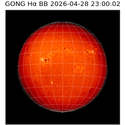 gong - 2026-04-28T23:00:02