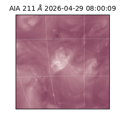 saia - 2026-04-29T08:00:09.630000