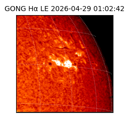 gong - 2026-04-29T01:02:42