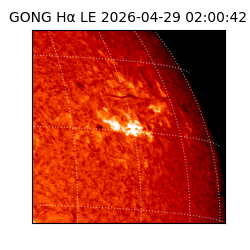 gong - 2026-04-29T02:00:42