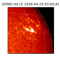 gong - 2026-04-29T03:00:42