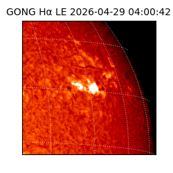gong - 2026-04-29T04:00:42