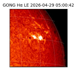 gong - 2026-04-29T05:00:42