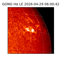 gong - 2026-04-29T06:00:42