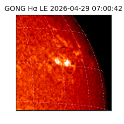 gong - 2026-04-29T07:00:42
