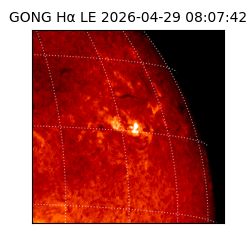 gong - 2026-04-29T08:07:42