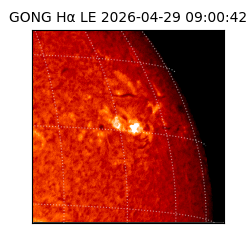 gong - 2026-04-29T09:00:42