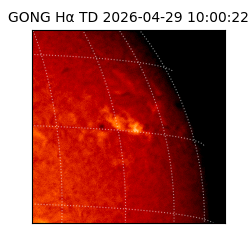 gong - 2026-04-29T10:00:22