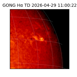gong - 2026-04-29T11:00:22