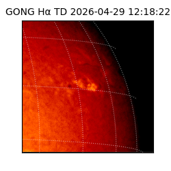 gong - 2026-04-29T12:18:22