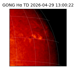 gong - 2026-04-29T13:00:22