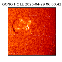 gong - 2026-04-29T06:00:42