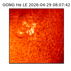 gong - 2026-04-29T08:07:42