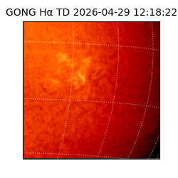 gong - 2026-04-29T12:18:22