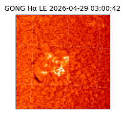 gong - 2026-04-29T03:00:42