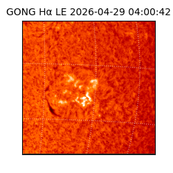 gong - 2026-04-29T04:00:42