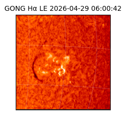 gong - 2026-04-29T06:00:42
