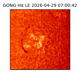 gong - 2026-04-29T07:00:42