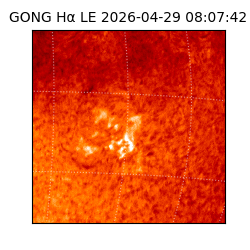 gong - 2026-04-29T08:07:42