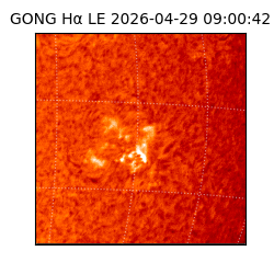 gong - 2026-04-29T09:00:42