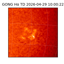 gong - 2026-04-29T10:00:22