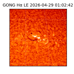 gong - 2026-04-29T01:02:42