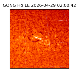 gong - 2026-04-29T02:00:42