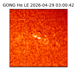 gong - 2026-04-29T03:00:42