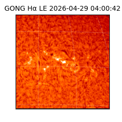 gong - 2026-04-29T04:00:42