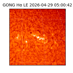 gong - 2026-04-29T05:00:42