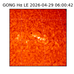 gong - 2026-04-29T06:00:42