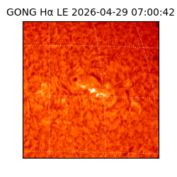 gong - 2026-04-29T07:00:42