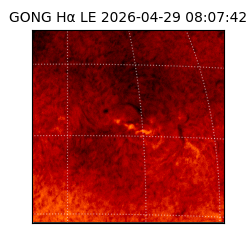gong - 2026-04-29T08:07:42