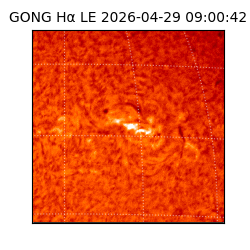 gong - 2026-04-29T09:00:42