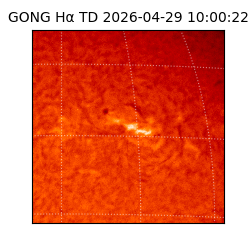 gong - 2026-04-29T10:00:22