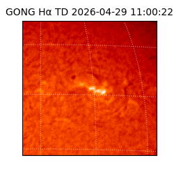 gong - 2026-04-29T11:00:22