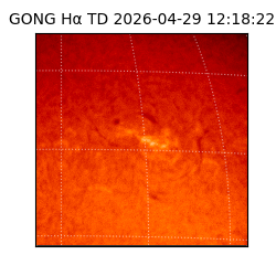 gong - 2026-04-29T12:18:22
