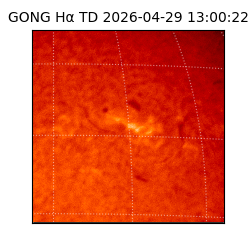 gong - 2026-04-29T13:00:22