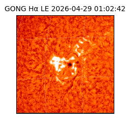 gong - 2026-04-29T01:02:42
