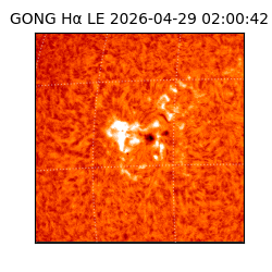 gong - 2026-04-29T02:00:42