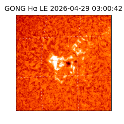 gong - 2026-04-29T03:00:42