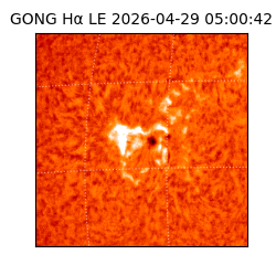 gong - 2026-04-29T05:00:42