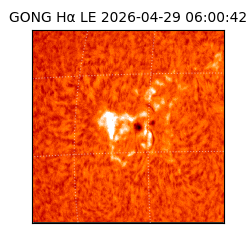 gong - 2026-04-29T06:00:42