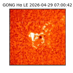 gong - 2026-04-29T07:00:42