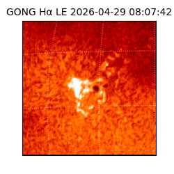 gong - 2026-04-29T08:07:42