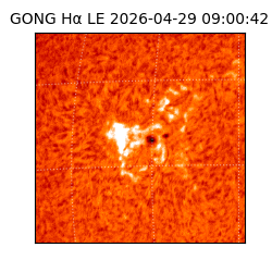 gong - 2026-04-29T09:00:42