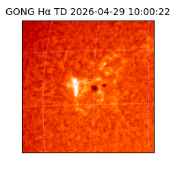 gong - 2026-04-29T10:00:22