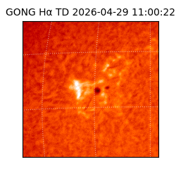 gong - 2026-04-29T11:00:22