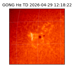 gong - 2026-04-29T12:18:22