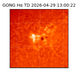 gong - 2026-04-29T13:00:22